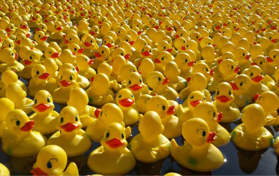 ducky last