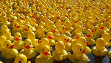 ducky last